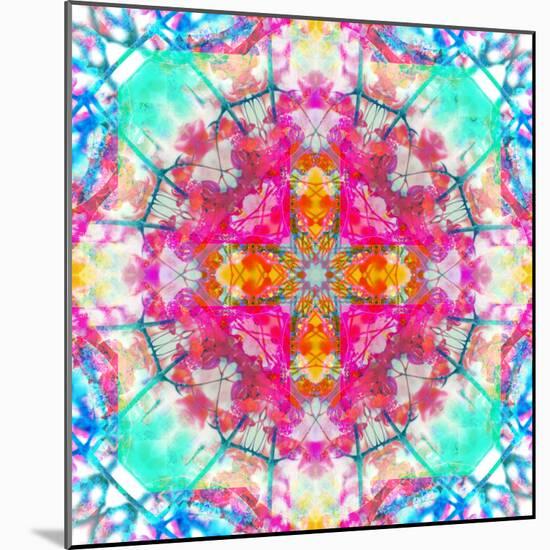 A Mandala Ornament from Flowers, Photograph, Many Layer Artwork-Alaya Gadeh-Mounted Photographic Print