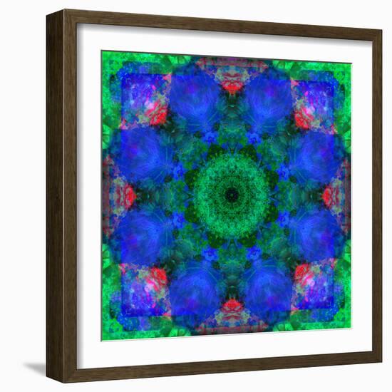 A Mandala Ornament from Flowers, Photograph, Many Layer Artwork-Alaya Gadeh-Framed Photographic Print