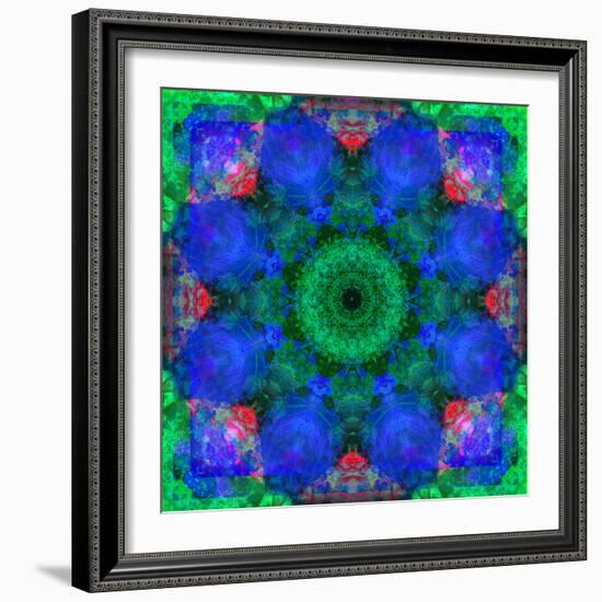 A Mandala Ornament from Flowers, Photograph, Many Layer Artwork-Alaya Gadeh-Framed Photographic Print