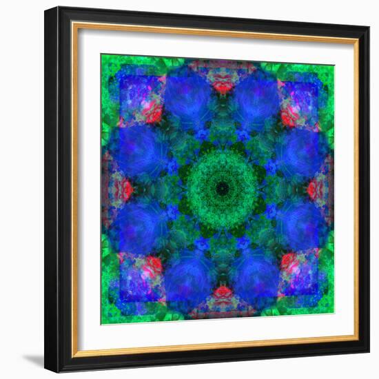 A Mandala Ornament from Flowers, Photograph, Many Layer Artwork-Alaya Gadeh-Framed Photographic Print