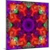 A Mandala Ornament from Flowers, Photograph, Many Layer Artwork-Alaya Gadeh-Mounted Photographic Print