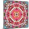 A Mandala Ornament from Flowers, Photograph, Many Layer Artwork-Alaya Gadeh-Mounted Photographic Print