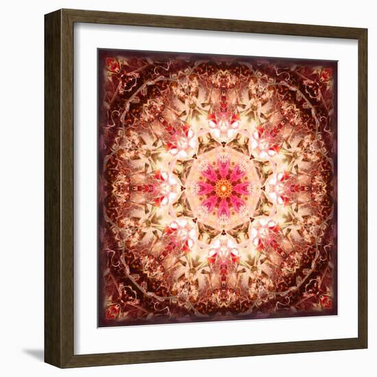 A Mandala Ornament from Flowers, Photography, Layer Artwork-Alaya Gadeh-Framed Photographic Print