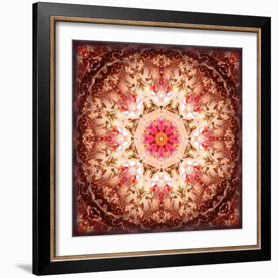 A Mandala Ornament from Flowers, Photography, Layer Artwork-Alaya Gadeh-Framed Photographic Print