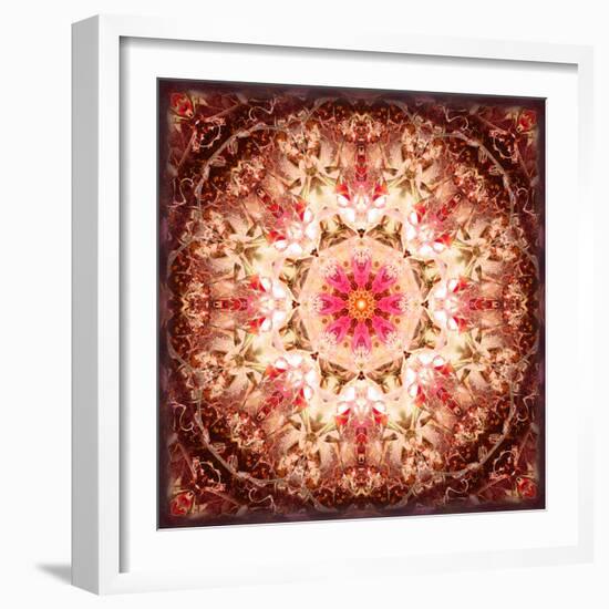 A Mandala Ornament from Flowers, Photography, Layer Artwork-Alaya Gadeh-Framed Photographic Print