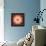 A Mandala Ornament from Flowers, Photography, Layer Artwork-Alaya Gadeh-Framed Premier Image Canvas displayed on a wall