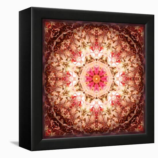 A Mandala Ornament from Flowers, Photography, Layer Artwork-Alaya Gadeh-Framed Premier Image Canvas