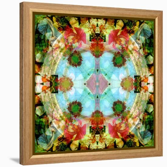 A Mandala Out of Flower a Montage-Alaya Gadeh-Framed Premier Image Canvas