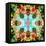 A Mandala Out of Flower a Montage-Alaya Gadeh-Framed Premier Image Canvas