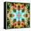 A Mandala Out of Flower a Montage-Alaya Gadeh-Framed Premier Image Canvas