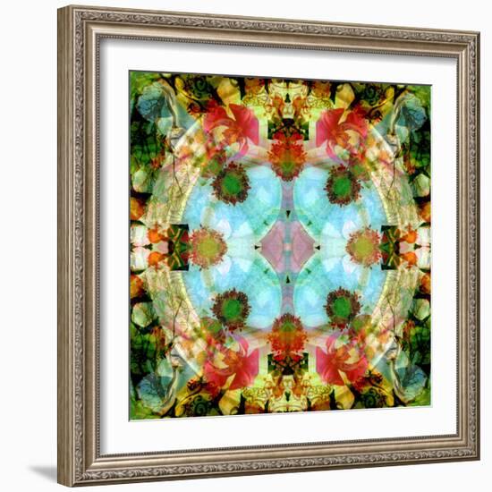 A Mandala Out of Flower a Montage-Alaya Gadeh-Framed Photographic Print