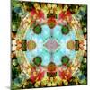 A Mandala Out of Flower a Montage-Alaya Gadeh-Mounted Photographic Print