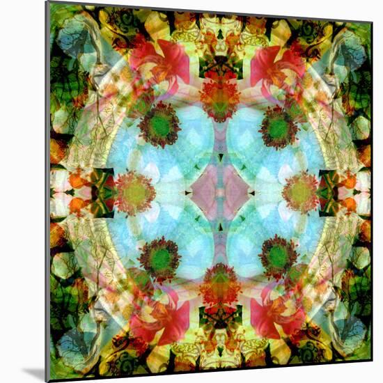 A Mandala Out of Flower a Montage-Alaya Gadeh-Mounted Photographic Print