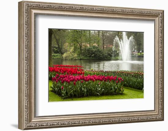 A Manicured Flower Garden of Tulips with a Lake and Water Fountain-Sheila Haddad-Framed Photographic Print