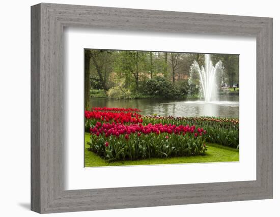 A Manicured Flower Garden of Tulips with a Lake and Water Fountain-Sheila Haddad-Framed Photographic Print