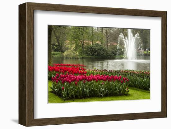 A Manicured Flower Garden of Tulips with a Lake and Water Fountain-Sheila Haddad-Framed Photographic Print