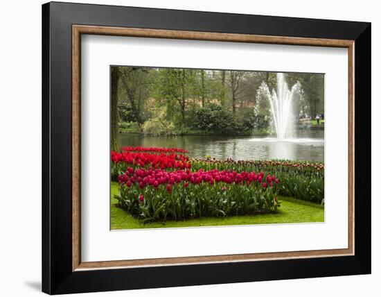 A Manicured Flower Garden of Tulips with a Lake and Water Fountain-Sheila Haddad-Framed Photographic Print