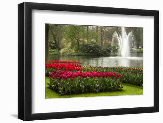 A Manicured Flower Garden of Tulips with a Lake and Water Fountain-Sheila Haddad-Framed Photographic Print