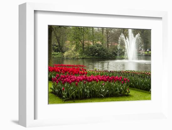 A Manicured Flower Garden of Tulips with a Lake and Water Fountain-Sheila Haddad-Framed Photographic Print