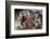 A Mantis Shrimp Peers Out of its Lair on a Reef in Indonesia-Stocktrek Images-Framed Photographic Print