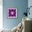 A Many Layered Flower Mandala-Alaya Gadeh-Framed Photographic Print displayed on a wall