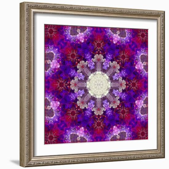 A Many Layered Flower Mandala-Alaya Gadeh-Framed Photographic Print