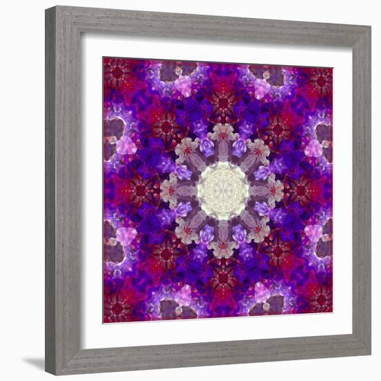 A Many Layered Flower Mandala-Alaya Gadeh-Framed Photographic Print