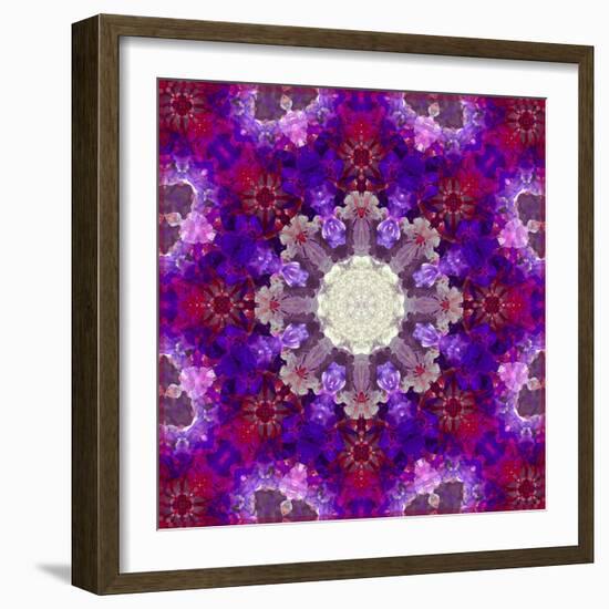 A Many Layered Flower Mandala-Alaya Gadeh-Framed Photographic Print