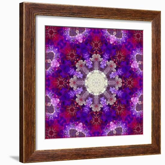 A Many Layered Flower Mandala-Alaya Gadeh-Framed Photographic Print