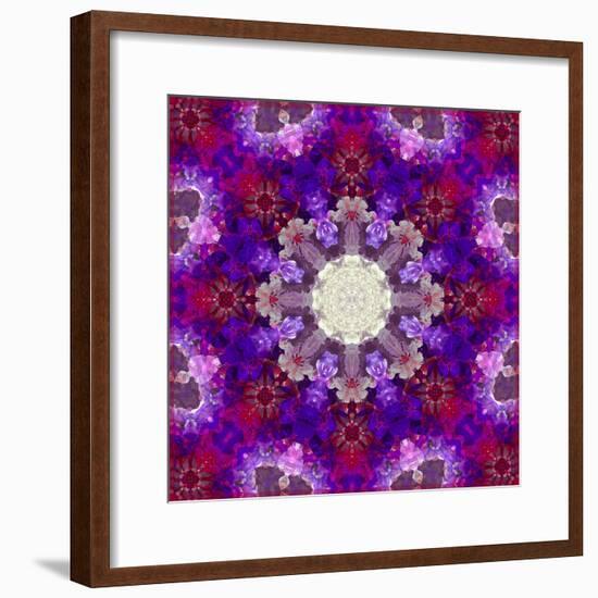 A Many Layered Flower Mandala-Alaya Gadeh-Framed Photographic Print