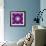 A Many Layered Flower Mandala-Alaya Gadeh-Framed Photographic Print displayed on a wall