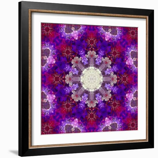 A Many Layered Flower Mandala-Alaya Gadeh-Framed Photographic Print