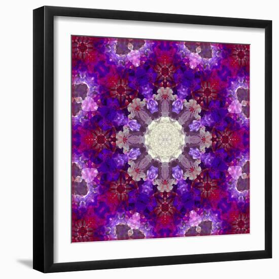 A Many Layered Flower Mandala-Alaya Gadeh-Framed Photographic Print