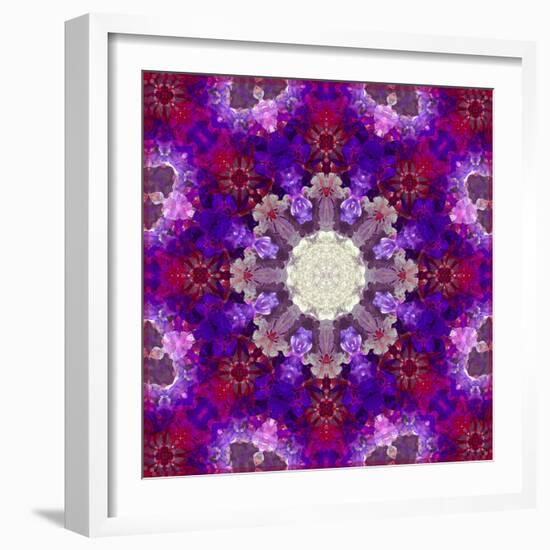 A Many Layered Flower Mandala-Alaya Gadeh-Framed Photographic Print