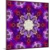 A Many Layered Flower Mandala-Alaya Gadeh-Mounted Photographic Print