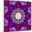 A Many Layered Flower Mandala-Alaya Gadeh-Mounted Photographic Print