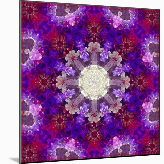 A Many Layered Flower Mandala-Alaya Gadeh-Mounted Photographic Print