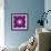 A Many Layered Flower Mandala-Alaya Gadeh-Framed Photographic Print displayed on a wall