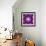 A Many Layered Flower Mandala-Alaya Gadeh-Framed Photographic Print displayed on a wall