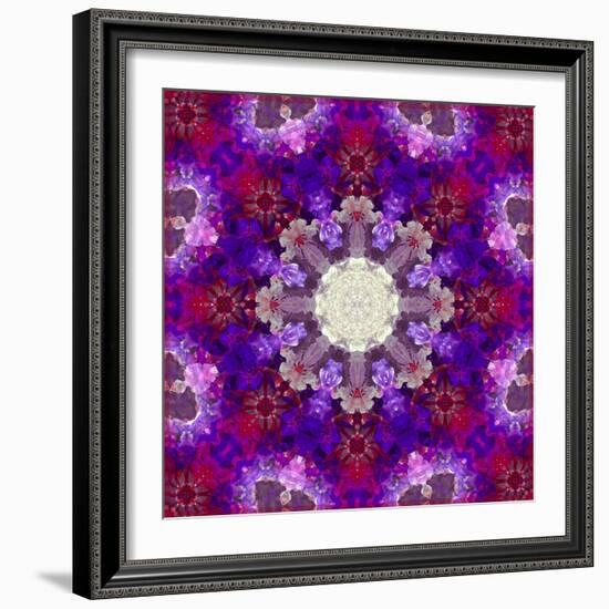 A Many Layered Flower Mandala-Alaya Gadeh-Framed Photographic Print