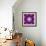 A Many Layered Flower Mandala-Alaya Gadeh-Framed Photographic Print displayed on a wall