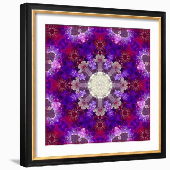 A Many Layered Flower Mandala-Alaya Gadeh-Framed Photographic Print