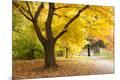 Photographic Print