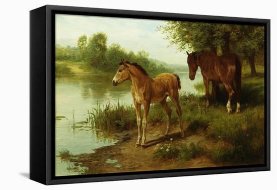 A Mare and Her Foal-Basil Bradley-Framed Premier Image Canvas