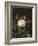 A Maria Larpin Rose-Otto Didrik Ottesen-Framed Giclee Print