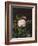 A Maria Larpin Rose-Otto Didrik Ottesen-Framed Giclee Print