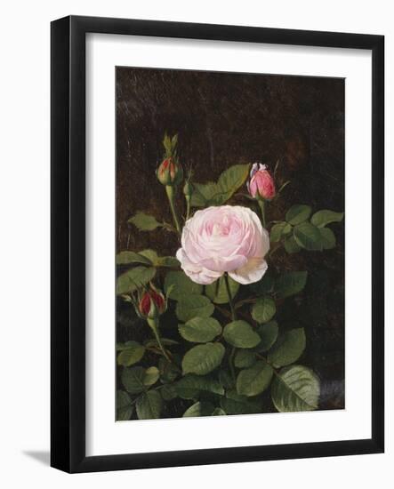 A Maria Larpin Rose-Otto Didrik Ottesen-Framed Giclee Print