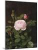 A Maria Larpin Rose-Otto Didrik Ottesen-Mounted Giclee Print