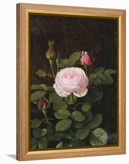 A Maria Larpin Rose-Otto Didrik Ottesen-Framed Premier Image Canvas