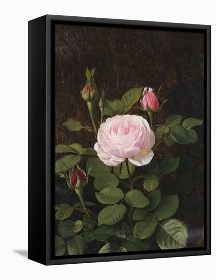 A Maria Larpin Rose-Otto Didrik Ottesen-Framed Premier Image Canvas